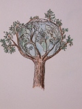 Färgpennor: Trädens värld